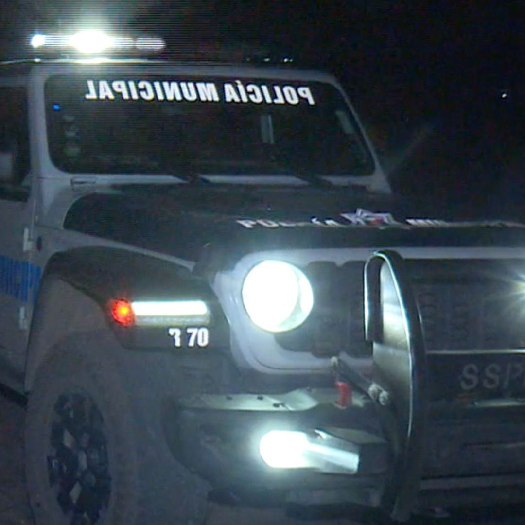 Hallan a Hombre Muerto que Estaba Siendo Comido por Perros en León.